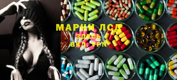 ГАЛЛЮЦИНОГЕННЫЕ ГРИБЫ Карталы