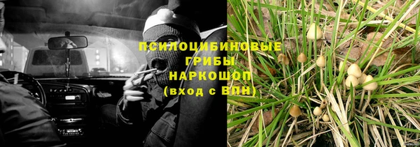 ГАЛЛЮЦИНОГЕННЫЕ ГРИБЫ Карталы