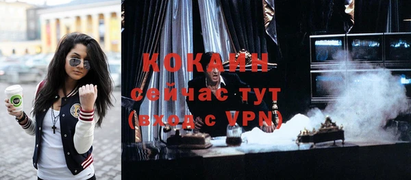 ГАЛЛЮЦИНОГЕННЫЕ ГРИБЫ Карталы