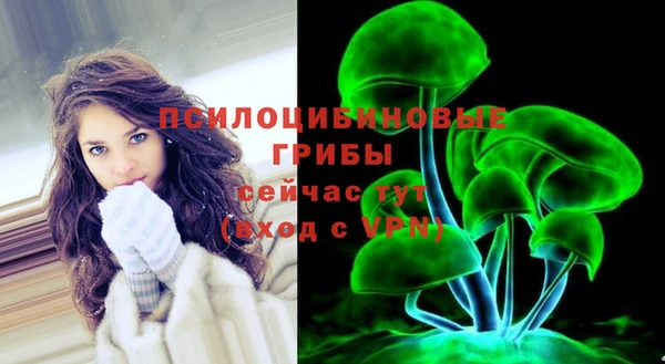 Альфа ПВП Карпинск